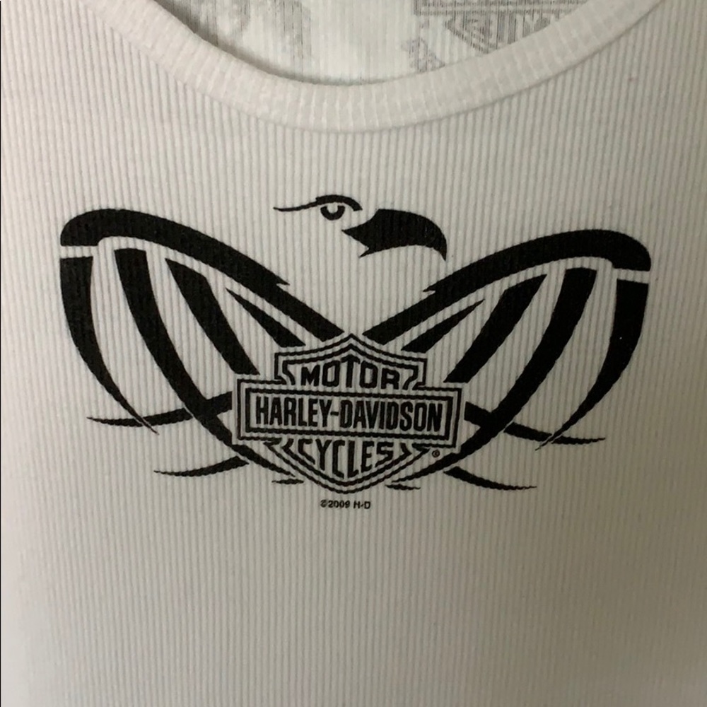 Harley-Davidson Tank - Picture 4 of 4